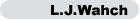 �J�X�^�����U�[�W���G���[�E�H�b�`