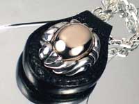 �s���N�V���o�[