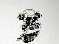 �N���X�{�[���X�J��