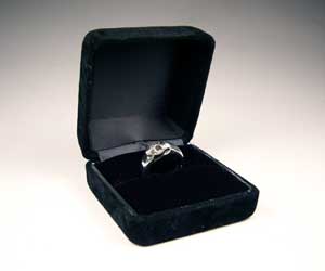 �W���G���[�{�b�N�X�@�����O�p